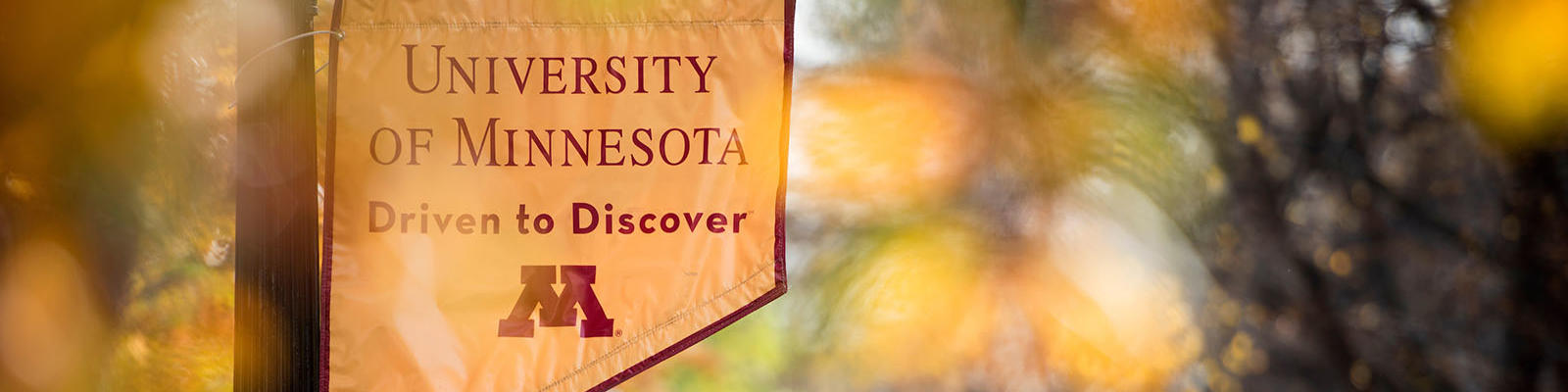 Gold banner that says University of Minnesota Driven to Discover